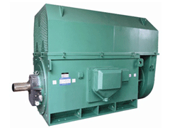 临海Y系列6KV高压电机